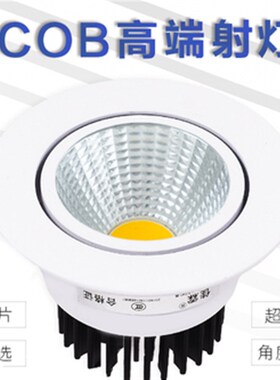 LED射灯9W12W18Wcob外径13开孔11-12CM