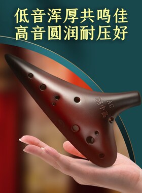 林中鸟陶笛乐器12孔专业陶笛乐器12孔ac陶笛儿童送十二孔陶笛教程