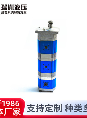 瑞胤 高转速高压力 2ATPF 铸铝三联齿轮泵