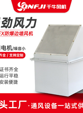 BWEX-防爆边墙风机 边墙通风机壁式防防雨排气扇方形防爆风机