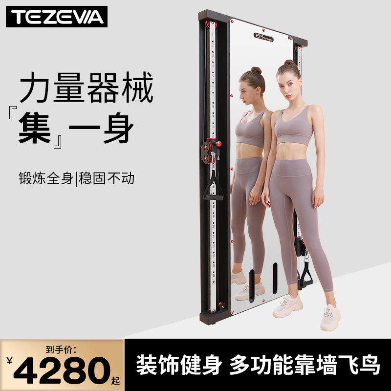 墙体小飞鸟龙门架单双边贴墙飞鸟综合训练器械家用镜面靠墙健身架