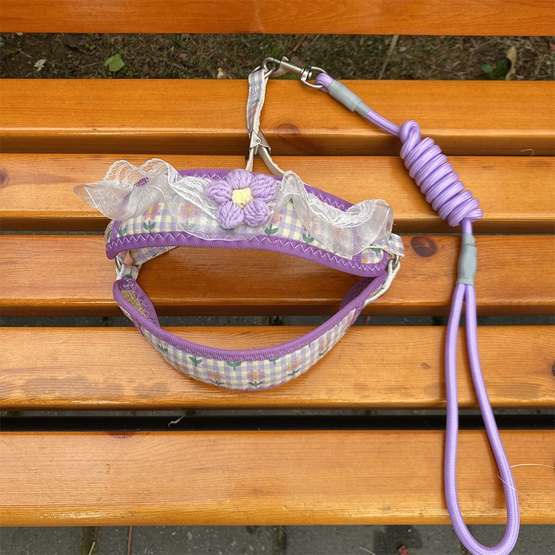 新款宠物狗狗牵引绳可爱蕾丝花边胸背带泰迪比熊小型犬外出遛狗绳