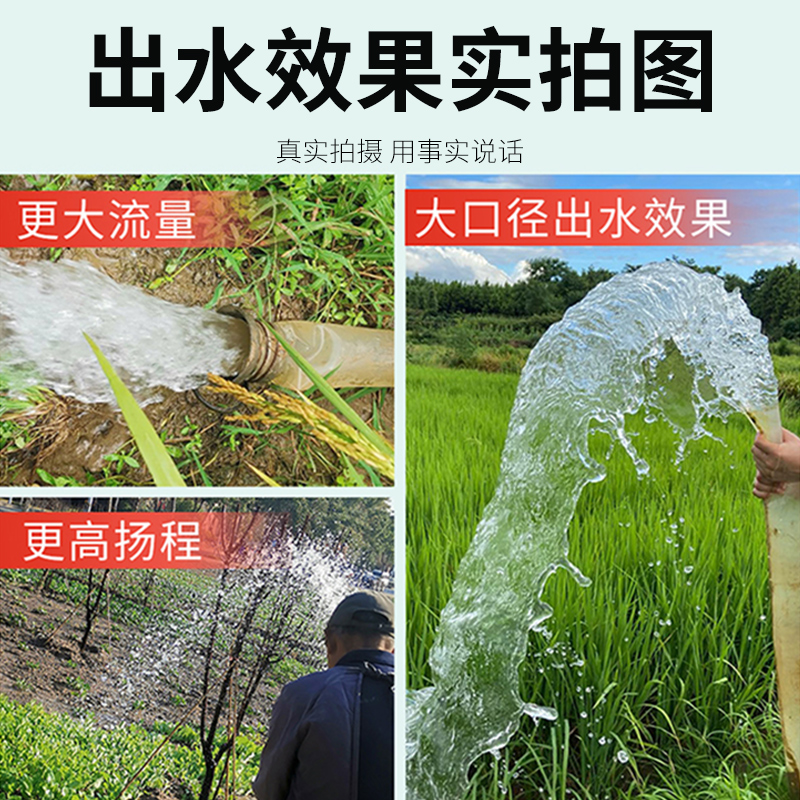 名磊水泵家用220V抽水井水清水泵农用灌溉污水泵烤漆抽水泵潜水泵