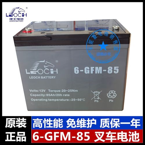 LEOCH理士6-GFM-85 12V85AH电动叉车电瓶中力合力诺力叉车电瓶