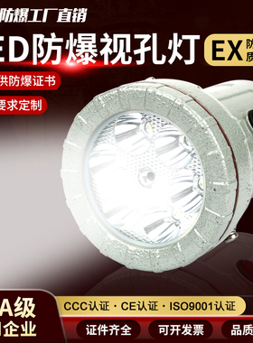 防爆视孔灯BSD  5WLED容器内视灯 24v 220v 36V 12V反应釜视灯