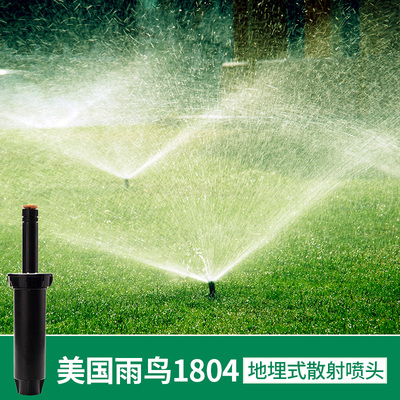 美国雨鸟1804自动散射喷头花园喷灌地埋式5004草坪灌溉浇水1812