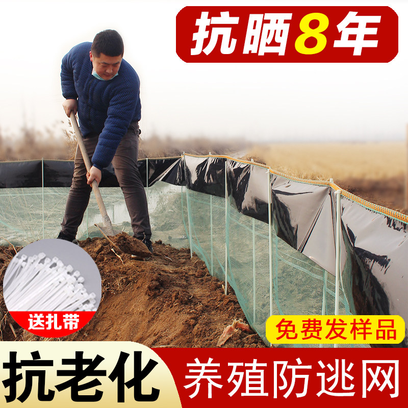 龙虾防逃网拦鱼螃蟹膜鱼塘青蛙虾塘甲鱼支撑杆小龙虾养殖围网