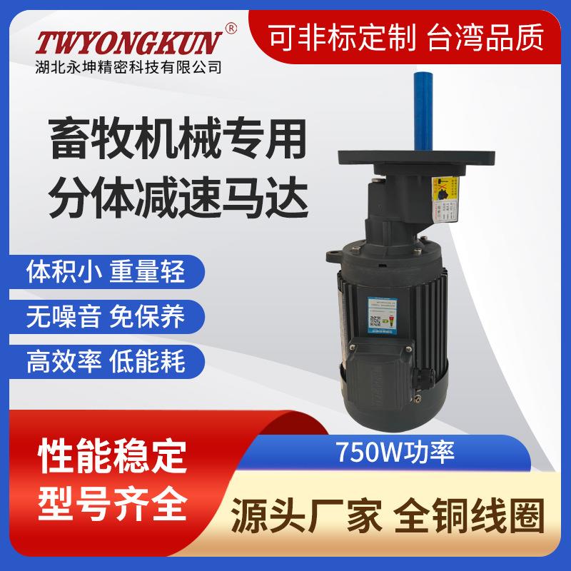 防尘防水养殖场自动喂料机减速电机单相慢速齿轮马达料线驱动装置