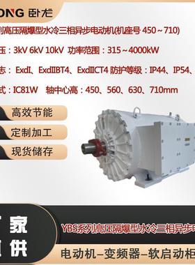 YBS-630-62240W高压隔爆型变频永磁三相同步电动机卧龙电气