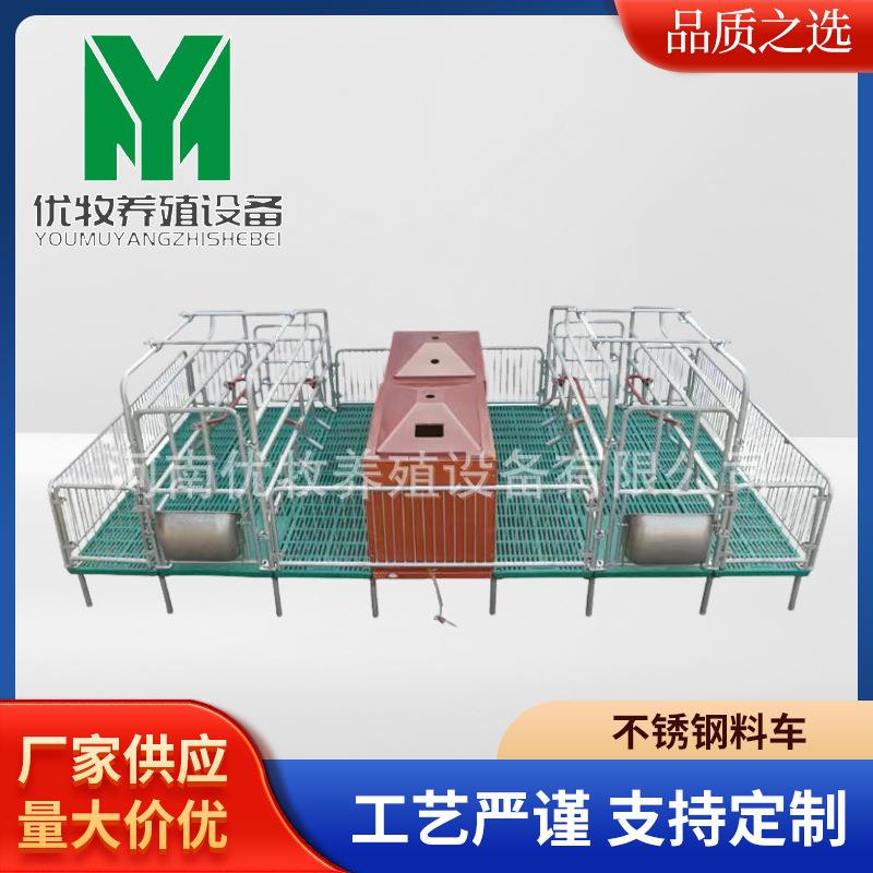 母猪产床双体产保一体母猪分娩床加厚热镀锌管母猪床防压杆产床