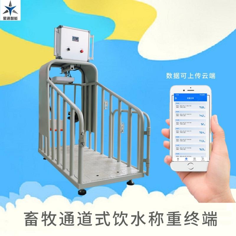 通道式饮水称重终端动态称重系统无应激易安装畜牧管理