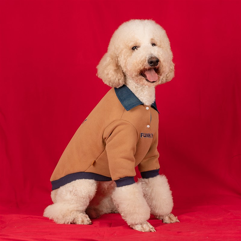 美式复古狗狗衣服中大型犬卫衣Polo衫加绒拉布拉多金毛巨贵衣服潮