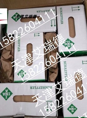 RWU55EG2V3新款标准件轴承钢滑块RWU55EHLG2V3德国依纳 INA直线导