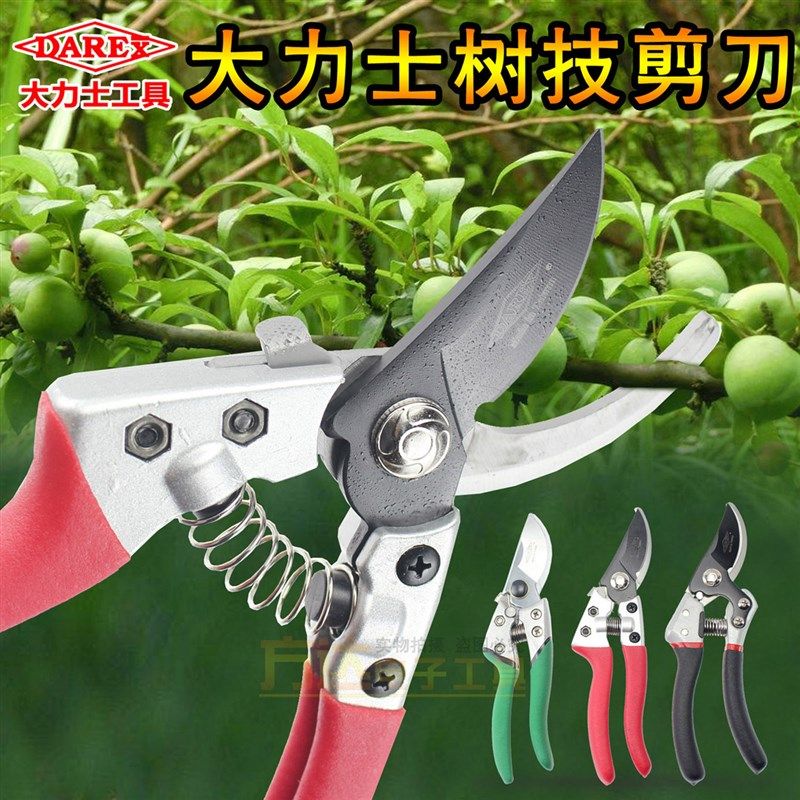大力士园艺剪刀强力家用果树修枝剪进口多功能省力园林粗枝花剪子