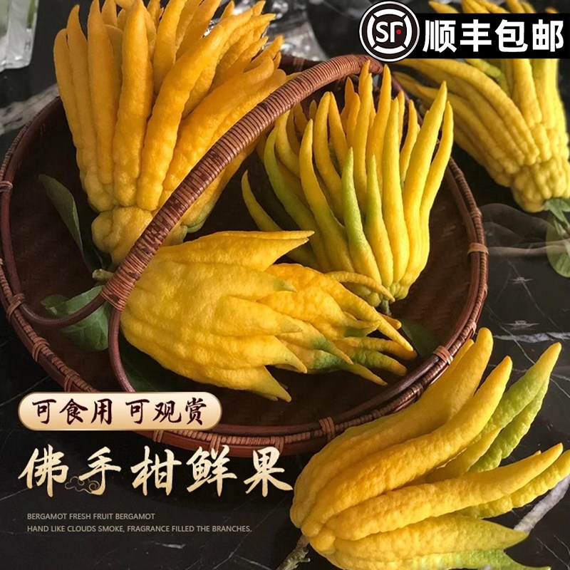 佛手柑新鲜水培植物带枝大果盆栽观赏摆件室内绿植插花佛手瓜闻香