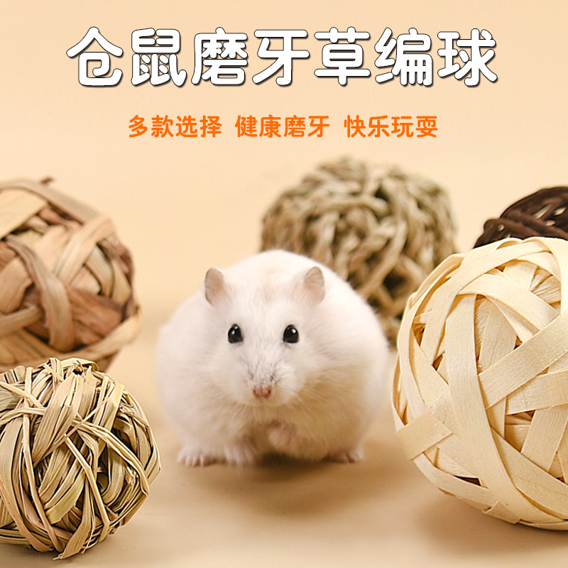 小仓鼠解闷玩具磨牙棒藤球草编啃咬球金丝熊龙猫豚鼠草球生活造景,宠物/宠物食品及用品,玩具/造景装饰,淘宝优惠券,粉丝福利购,淘宝优惠卷