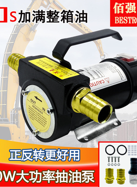 电动抽油泵小型12V24V220V伏柴油加油机正反抽油机自吸泵油泵