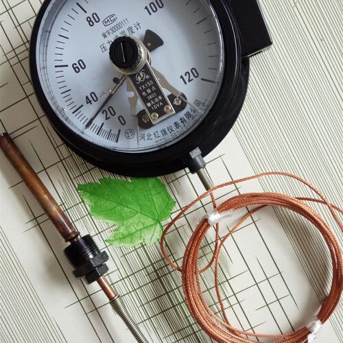 电接点压力式温度计3米0-120度WTZ-288变压器专用双上线控制