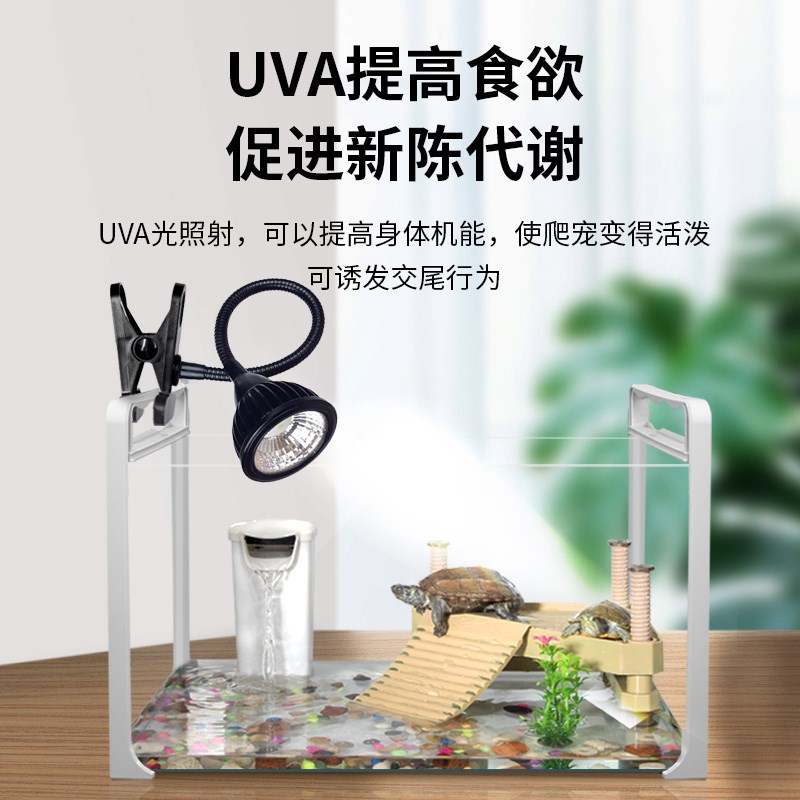 乌龟晒背灯uvb灯全光谱灯定时USB充电龟缸照明爬宠烤背太阳灯