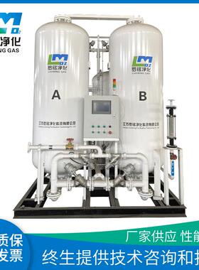 PSA制氧机20立方高原制氧机工业切割氧气机水产养殖制氧设备