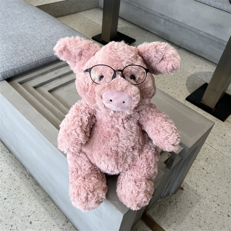 可爱巴塞罗猪公仔粉色猪猪玩偶毛绒玩具系小猪布娃娃女生礼物