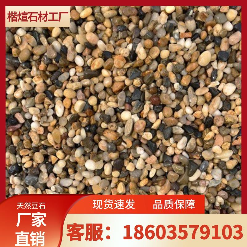 广东天然鹅卵石地暖回填豆石庭院铺路原石过滤滤料鱼缸造景石子
