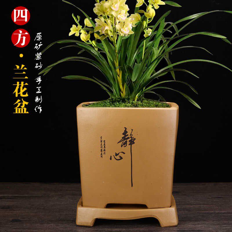 宜兴紫砂君子兰专用兰花四方长方盆中国风陶瓷花盆带托盘吸水透气