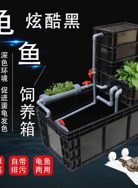 养龟黑色墅转箱蛋龟发色大龟缸生态循滤带过环家用乌龟别周水族箱