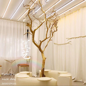 去皮树枝 室内造型树枝枯树枝装 饰 原木树枝干树枝 树枝造景 橱窗