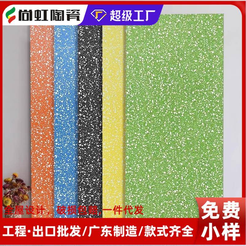 别墅彩色水磨石瓷砖600x1200网红地砖哑光防滑学校丝网工艺墙砖