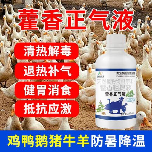 兽用藿香正气液防暑增采食
