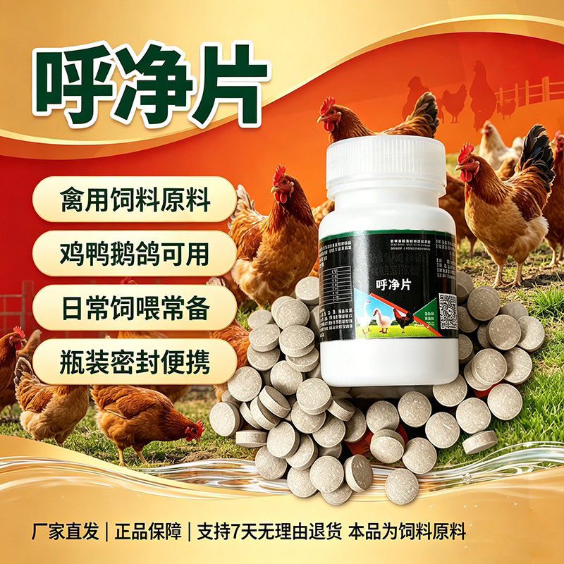 乎净片禽类鸡鸭鹅缩头闭眼张嘴呼吸呼噜怪叫气喘呆立众时正品