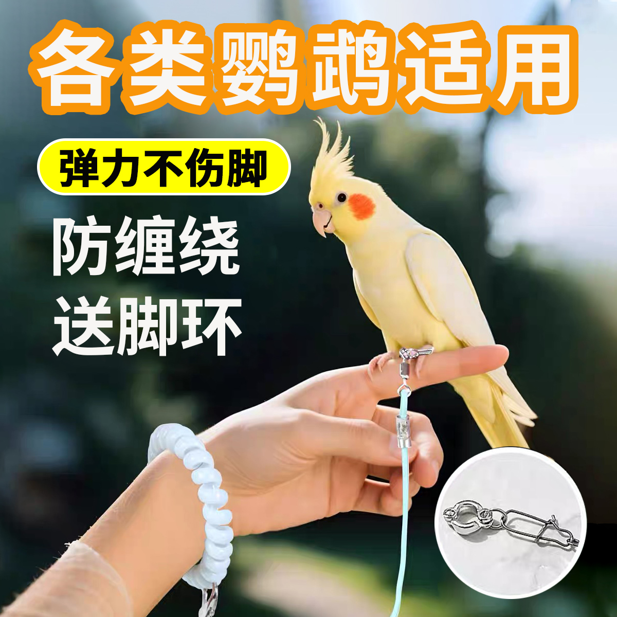 鹦鹉超轻鸟用放飞绳牵引绳不伤脚