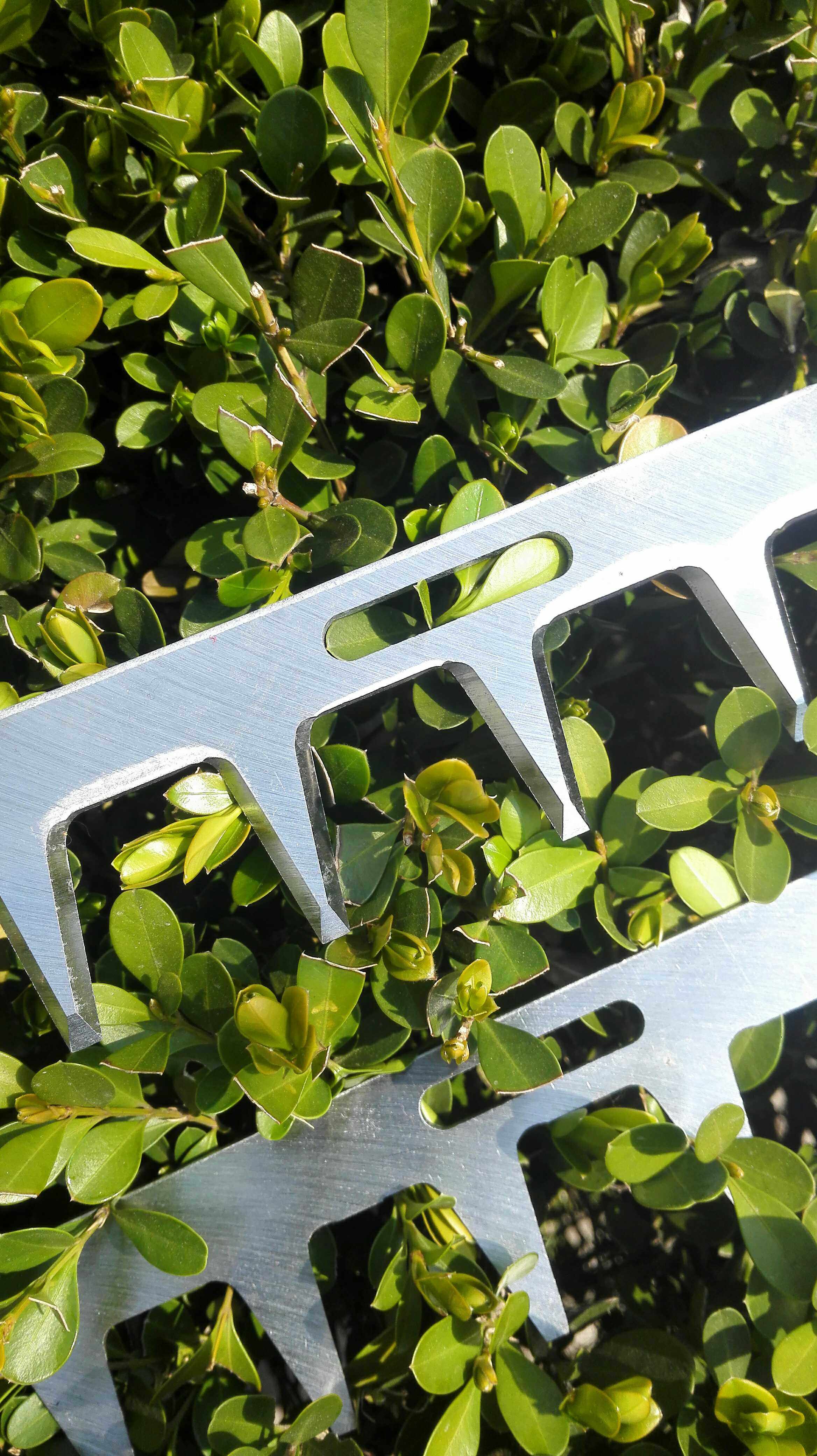 落合600单人采茶机刀片背负式绿篱机配件4螺丝孔16齿4c-60