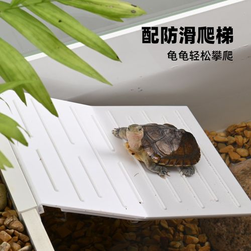 养乌龟专用爬梯晒背o平台特大号深水缸高水位休息躲避屋生态造景