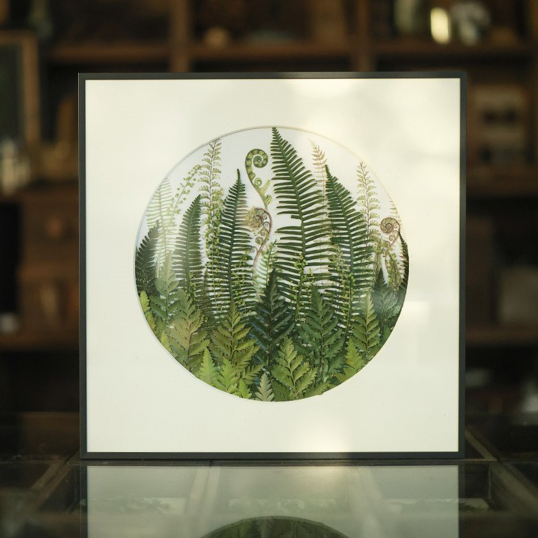 种籽造物 花好月圆春和植物标本画手工手作押花画装饰画挂画组画