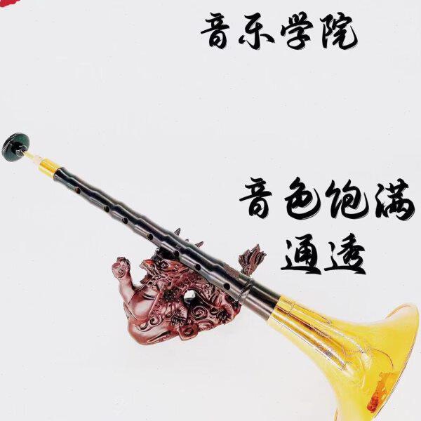 黑檀木唢呐专业演奏级唢呐东方伟乐音乐学院全套初学者大小乐器