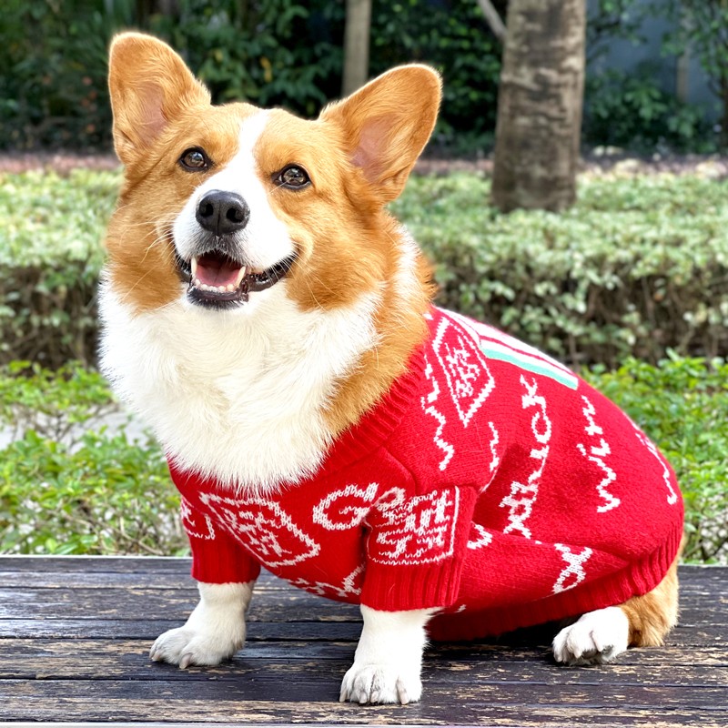 宠物狗狗衣服2021秋冬新款中小型犬法斗比熊保暖柴犬柯基新年毛衣