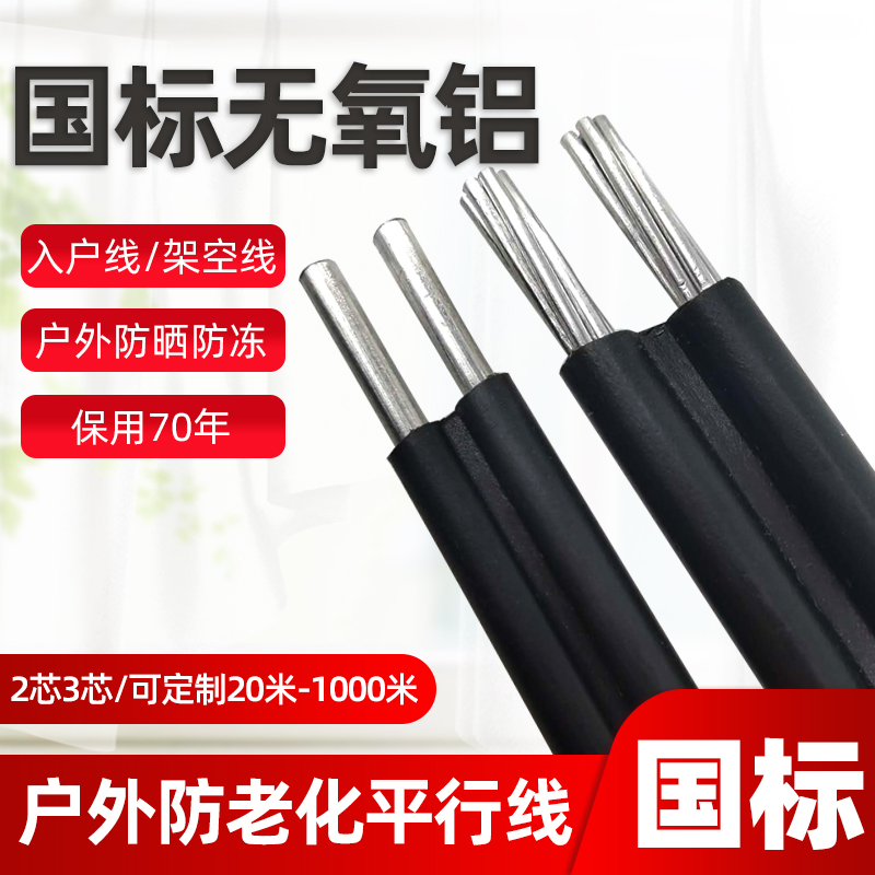 户外线国标铝2芯4 6 10 16 25平方3芯电缆铝线家用架空防老化电线