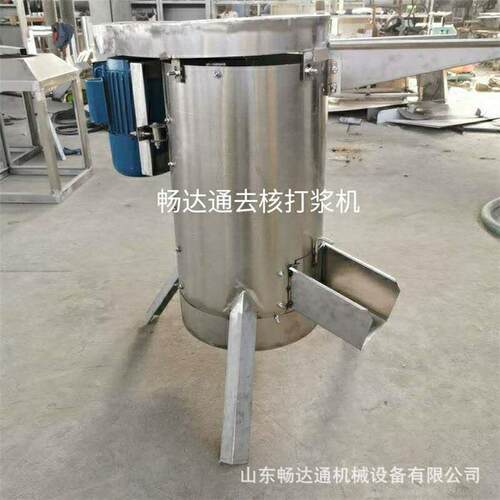 水果整核去核机桃子樱桃李油甘大型脱核机芒果核肉分离打浆机