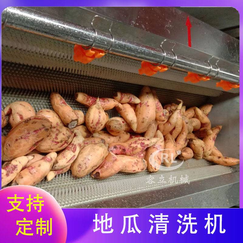 现货毛刷清洗机 辊刷式土豆胡萝卜清洗去泥机 全自动红薯清洗机