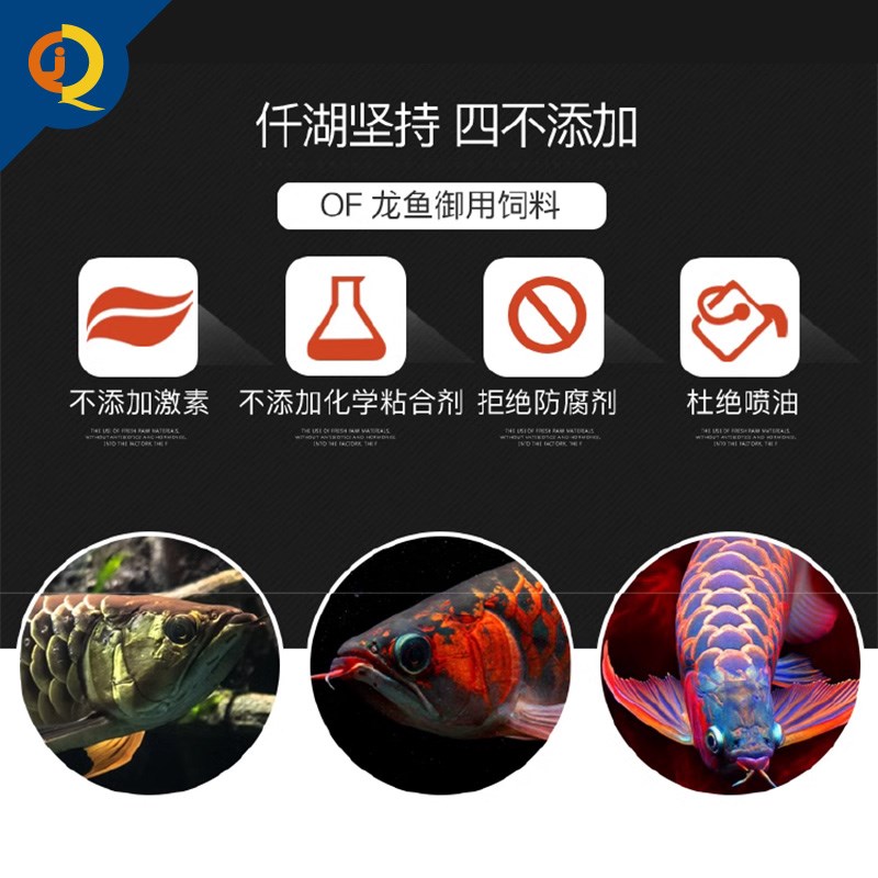 OF仟湖龙鱼饲料金龙红龙银龙雷龙颗粒鱼食傲深G1G2鱼粮高蛋白