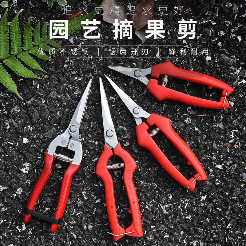 不锈钢果园园林修枝剪编织剪葡萄火龙果蔬果采摘剪家用锯子钳子