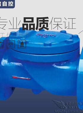 HC44X-16Q球墨铸铁橡胶瓣止回阀橡胶板防水锤单向逆止阀DN50-600