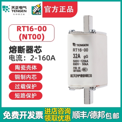 天正电气 RT16-00 NT00 RT36-00熔断器芯保险丝32A40A63A100A160A