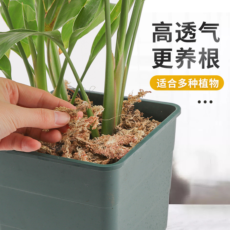 干苔藓蝴蝶兰专用水苔透气保水保湿君子兰石斛花土营养土兰花介质