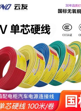 人民线缆BV1.5 2.5 4 6平方单芯硬线家装国标100米无氧铜正品直销
