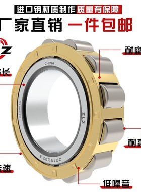 洛阳圆柱滚子轴承RN204 205 206 207 208 209EM 替代进口