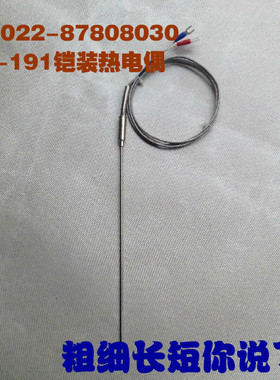铠装热电偶WENK-191 WZPK-191 热电阻 温度传感器 探针式热电偶
