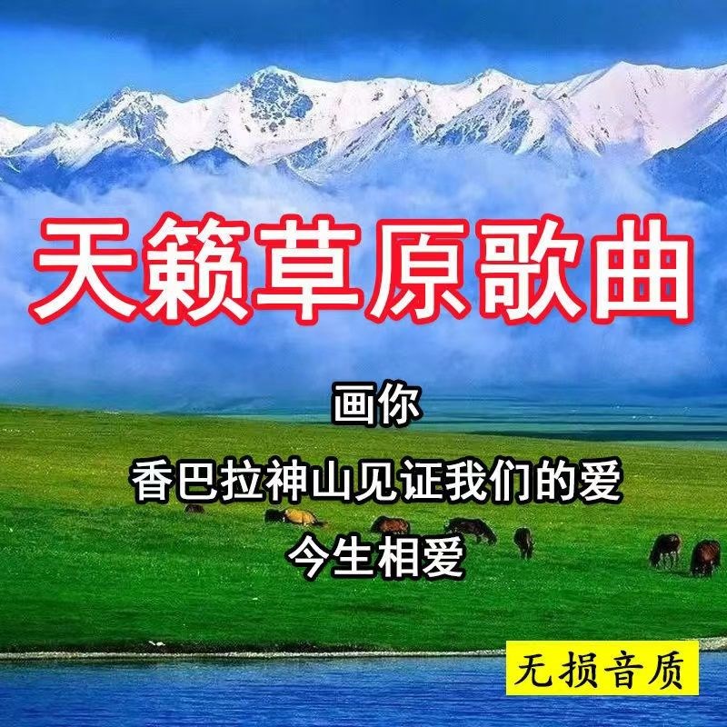 天籁草原歌曲车载音乐U盘画你游牧时光藏歌藏族民歌无损高音质MP3